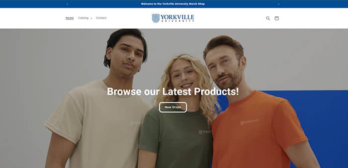 Beautiful photo of Yorkville University Merch Website